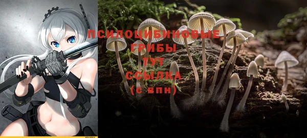 синтетический гашиш Кострома