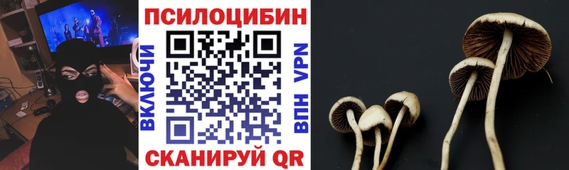 Галлюциногенные грибы прущие грибы  ОМГ ОМГ зеркало  Ногинск  купить  сайты 