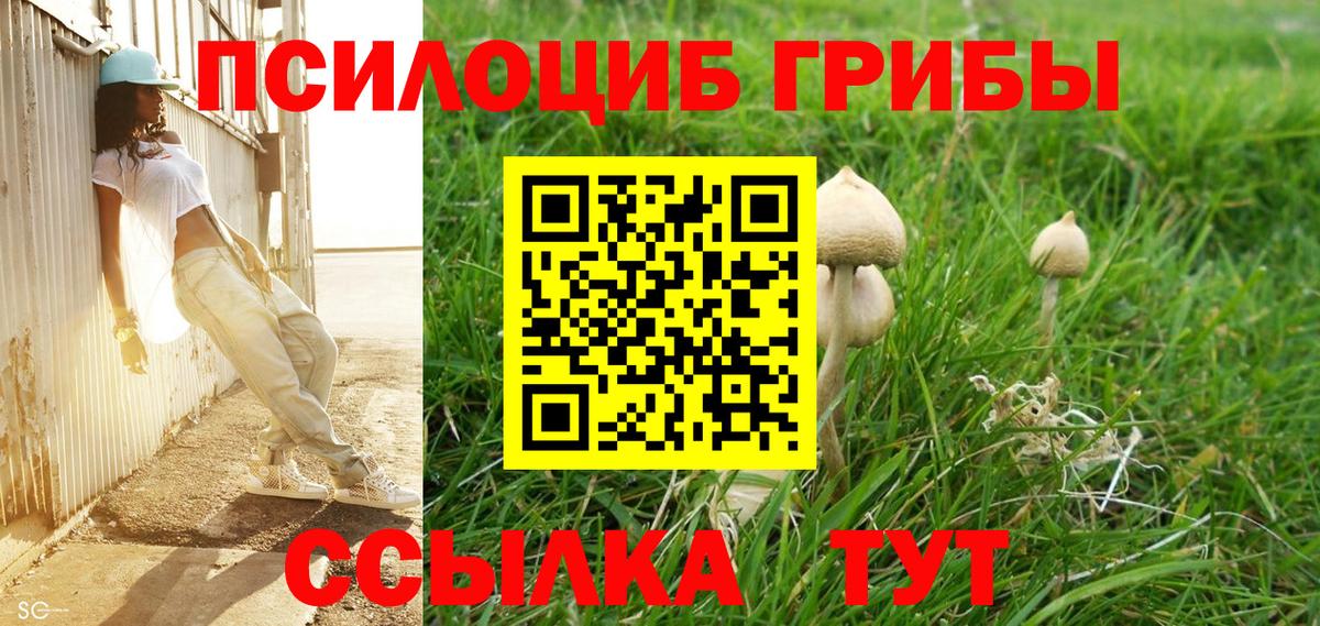 Псилоцибиновые грибы мухоморы Ногинск