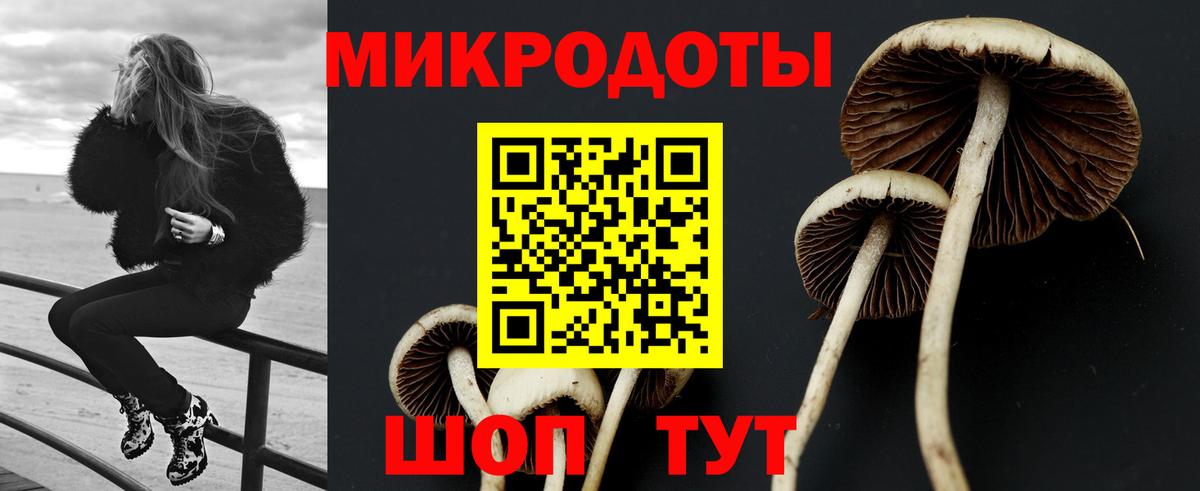 Ногинск  Псилоцибиновые грибы прущие грибы  наркота  Вход с VPN 
